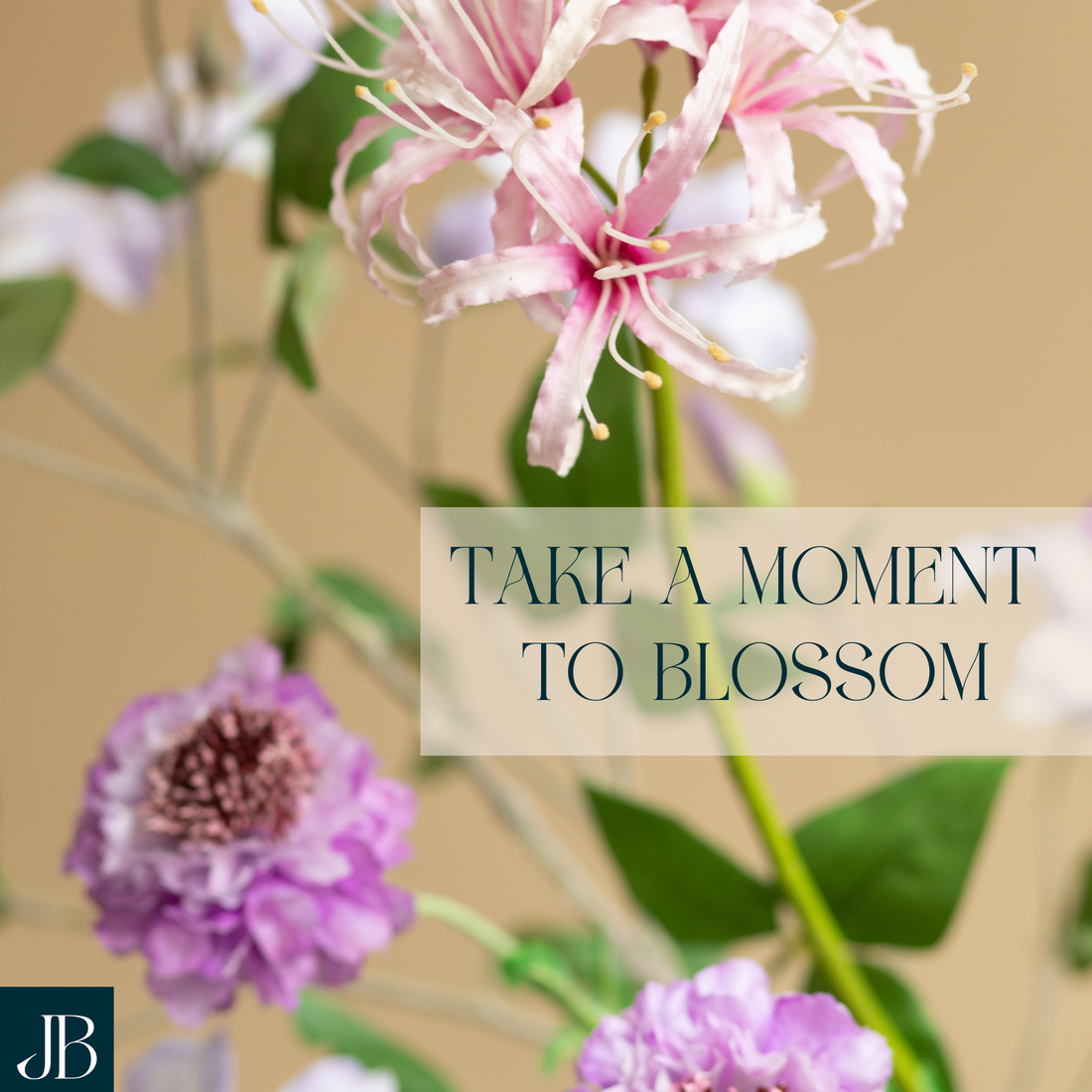 Take a Moment to Blossom