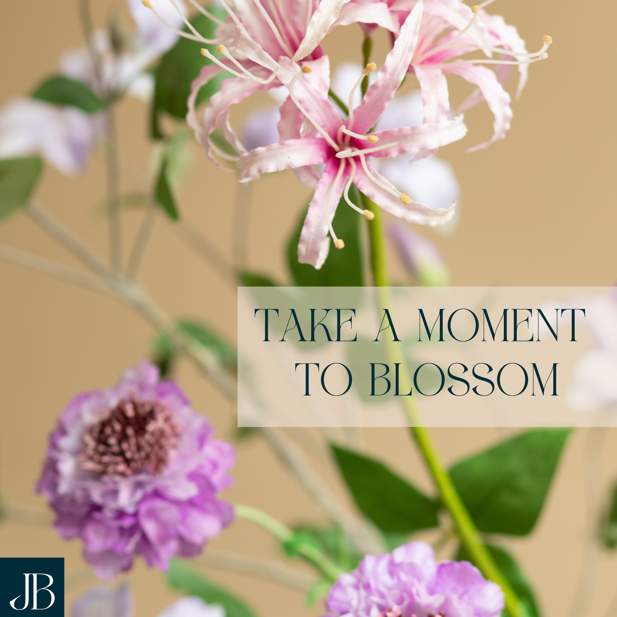 Take a Moment to Blossom